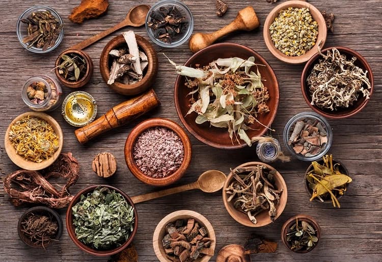 Shadleen’s Herb website